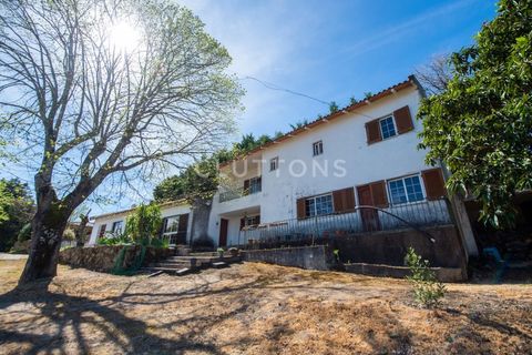 Farm i Celorico da Beira, Guarda, Celorico da Beira - € 750.000 | Ref: QUI2211MVR - foto 18