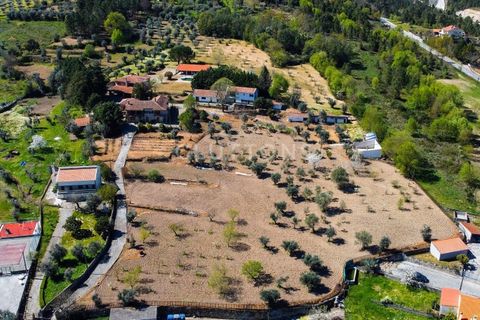 Farm i Celorico da Beira, Guarda, Celorico da Beira - € 750.000 | Ref: QUI2211MVR - foto 38