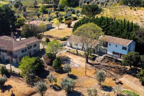 Farm i Celorico da Beira, Guarda, Celorico da Beira - € 750.000 | Ref: QUI2211MVR - foto 40