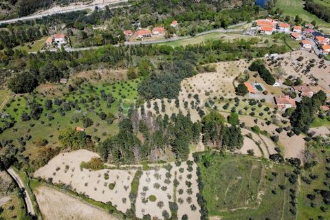 Farm i Celorico da Beira, Guarda, Celorico da Beira - € 750.000 | Ref: QUI2211MVR - foto 41