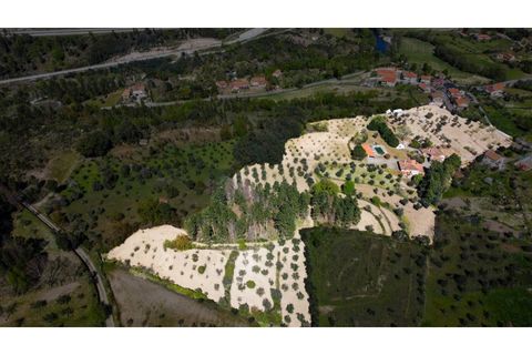 Farm i Celorico da Beira, Guarda, Celorico da Beira - € 750.000 | Ref: QUI2211MVR - foto 46