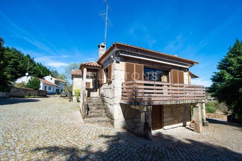 Farm i Celorico da Beira, Guarda, Celorico da Beira - € 750.000 | Ref: QUI2211MVR - foto 17