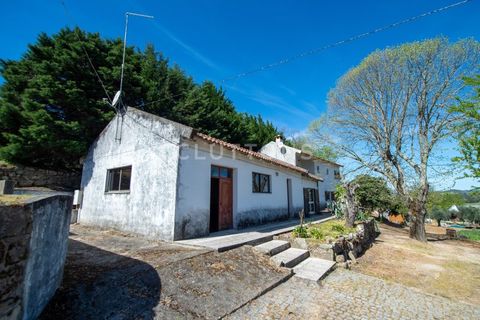 Farm i Celorico da Beira, Guarda, Celorico da Beira - € 750.000 | Ref: QUI2211MVR - foto 19