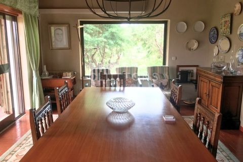 Farm i Celorico da Beira, Guarda, Celorico da Beira - € 750.000 | Ref: QUI2211MVR - foto 15