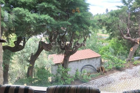 Farm i Celorico da Beira, Guarda, Celorico da Beira - € 750.000 | Ref: QUI2211MVR - foto 44