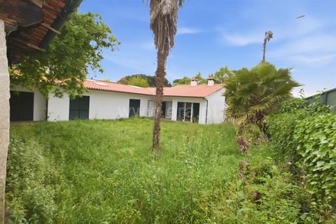 Villa i Barcelos, Braga, Barcelos - € 305.000 | Ref: 254260741 - foto 26