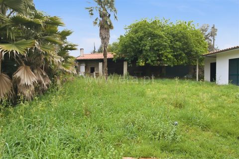 Villa i Barcelos, Braga, Barcelos - € 305.000 | Ref: 254260741 - foto 29