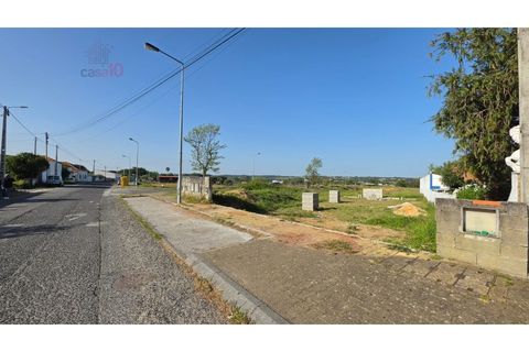 Helårsgrund i Aveiras de Cima, Lisbon, Aveiras de Cima - € 42.000 | Ref: ALC 1410 - foto 4