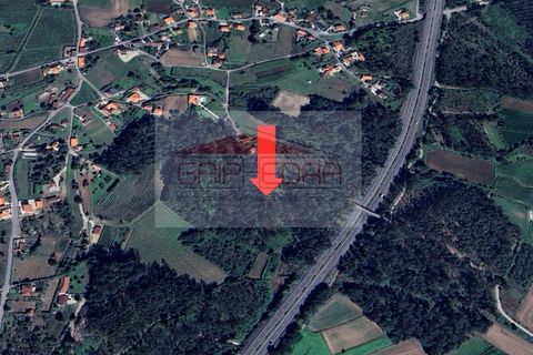 Helårsgrund i Ponte de Lima, Viana do Castelo, Ponte de Lima - € 12.725 | Ref: AV328 - foto 6