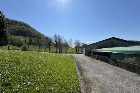 Villa i Castelgomberto, Vicenza, Castelgomberto - € 460.000 | Ref: AF094 - foto 15