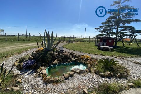 Villa a Mesola, Ferrara, Mesola - € 209.000 | Ref: PVL20 - foto 32
