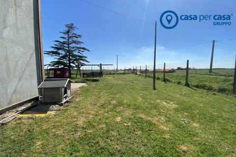 Villa a Mesola, Ferrara, Mesola - € 209.000 | Ref: PVL20 - foto 35