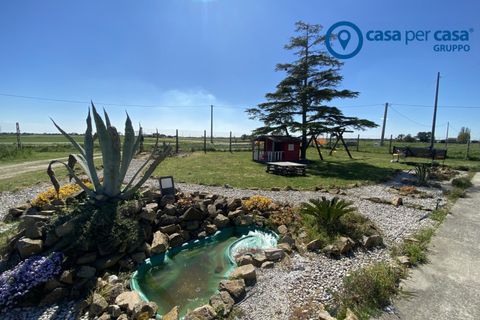 Villa a Mesola, Ferrara, Mesola - € 209.000 | Ref: PVL20 - foto 36