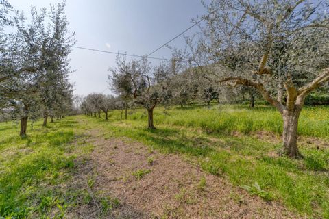 Villa i Monselice, Padua, Monselice - € 208.000 | Ref: VR1008 - foto 22