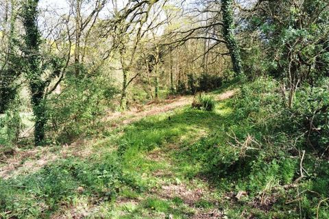 Villa a Landeleau, Finistere, Landeleau - € 261.375 | Ref: 560022446 - foto 25