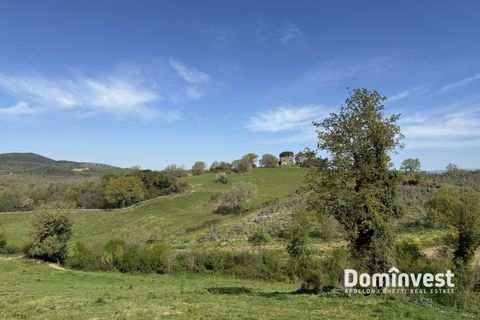 Landejendom i Capalbio, Grosseto, Capalbio - € 2.000.000 | Ref: v-265 - foto 7