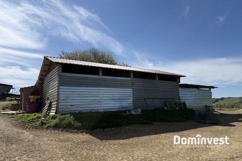 Landejendom i Capalbio, Grosseto, Capalbio - € 2.000.000 | Ref: v-265 - foto 10