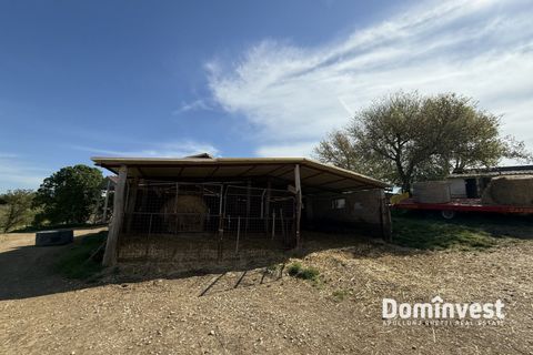 Landejendom i Capalbio, Grosseto, Capalbio - € 2.000.000 | Ref: v-265 - foto 11