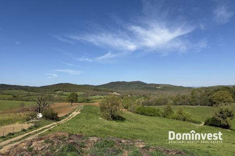 Landejendom i Capalbio, Grosseto, Capalbio - € 2.000.000 | Ref: v-265 - foto 12