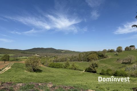 Landejendom i Capalbio, Grosseto, Capalbio - € 2.000.000 | Ref: v-265 - foto 13