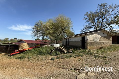 Landejendom i Capalbio, Grosseto, Capalbio - € 2.000.000 | Ref: v-265 - foto 14