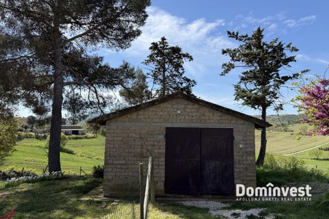 Landejendom i Capalbio, Grosseto, Capalbio - € 2.000.000 | Ref: v-265 - foto 16