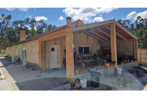 Villa i Leiria, Leiria, Leiria - € 525.000 | Ref: LIZ-216598 - foto 20