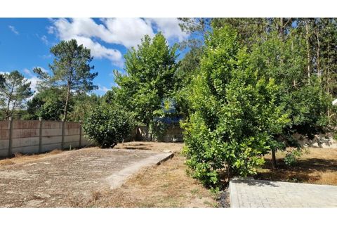 Villa i Leiria, Leiria, Leiria - € 525.000 | Ref: LIZ-216598 - foto 25