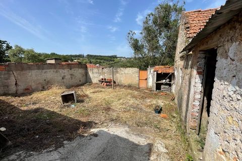 Villa a A dos Francos, Leiria, A dos Francos - € 90.000 | Ref: PTC20260116.1 - foto 13