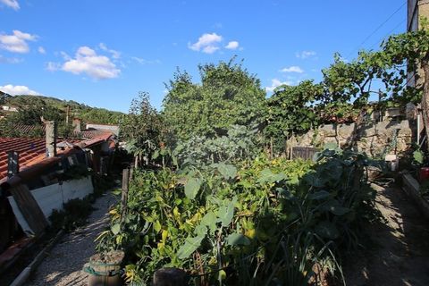 Villa a Cabeceiras de Basto, Braga, Cabeceiras de Basto - € 210.000 | Ref: 121751324-353 - foto 18