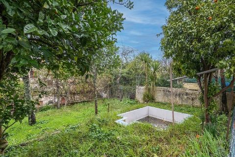 Villa i Braga, Braga, Braga - € 349.000 | Ref: 123331024-903 - foto 30