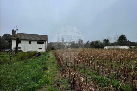 Villa i Viana do Castelo, Viana do Castelo, Viana do Castelo - € 375.000 | Ref: 123331167-597 - foto 2