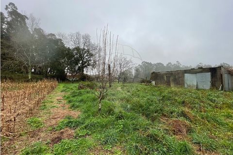 Villa i Viana do Castelo, Viana do Castelo, Viana do Castelo - € 375.000 | Ref: 123331167-597 - foto 5
