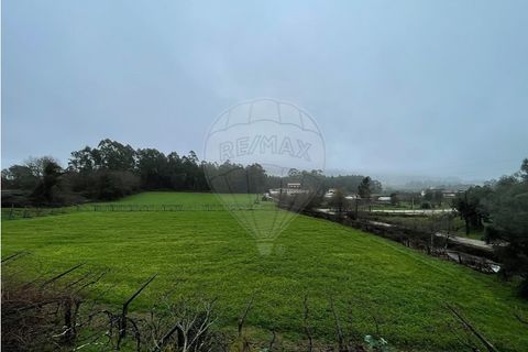 Villa i Viana do Castelo, Viana do Castelo, Viana do Castelo - € 375.000 | Ref: 123331167-597 - foto 9