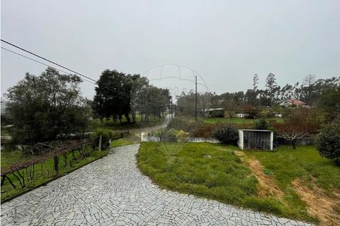 Villa i Viana do Castelo, Viana do Castelo, Viana do Castelo - € 375.000 | Ref: 123331167-597 - foto 21