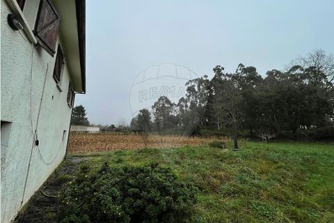 Villa i Viana do Castelo, Viana do Castelo, Viana do Castelo - € 375.000 | Ref: 123331167-597 - foto 27