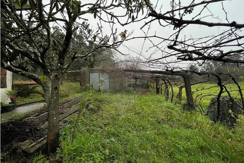 Villa i Viana do Castelo, Viana do Castelo, Viana do Castelo - € 375.000 | Ref: 123331167-597 - foto 29