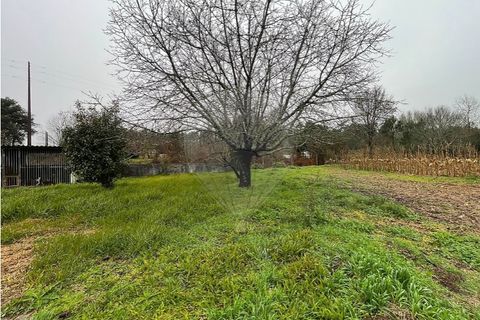 Villa i Viana do Castelo, Viana do Castelo, Viana do Castelo - € 375.000 | Ref: 123331167-597 - foto 30