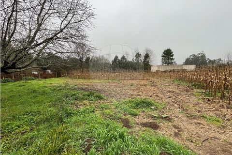 Villa i Viana do Castelo, Viana do Castelo, Viana do Castelo - € 375.000 | Ref: 123331167-597 - foto 31