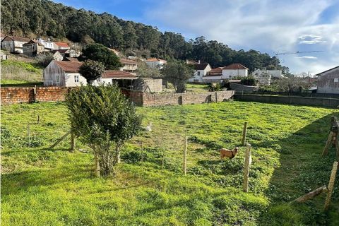 Villa i Viana do Castelo, Viana do Castelo, Viana do Castelo - € 280.000 | Ref: 123331167-598 - foto 6