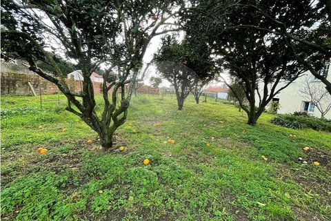 Villa i Viana do Castelo, Viana do Castelo, Viana do Castelo - € 280.000 | Ref: 123331167-598 - foto 23