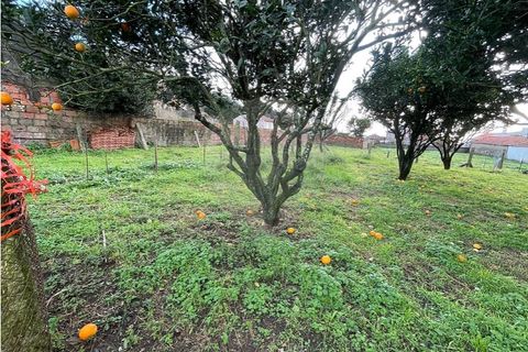 Villa i Viana do Castelo, Viana do Castelo, Viana do Castelo - € 280.000 | Ref: 123331167-598 - foto 26