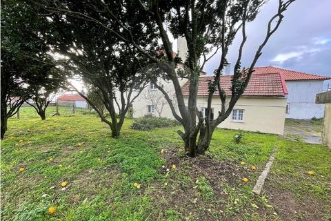 Villa i Viana do Castelo, Viana do Castelo, Viana do Castelo - € 280.000 | Ref: 123331167-598 - foto 25