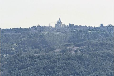 Lejlighed i Braga, Braga, Braga - € 278.000 | Ref: 123331119-55 - foto 38