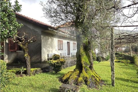 Villa a Ponte de Lima, Viana do Castelo, Ponte de Lima - € 265.000 | Ref: 123731008-449 - foto 7