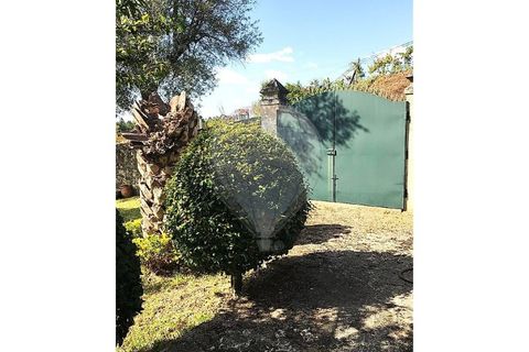 Villa a Ponte de Lima, Viana do Castelo, Ponte de Lima - € 265.000 | Ref: 123731008-449 - foto 28
