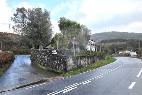 Villa a Ponte de Lima, Viana do Castelo, Ponte de Lima - € 265.000 | Ref: 123731008-449 - foto 4
