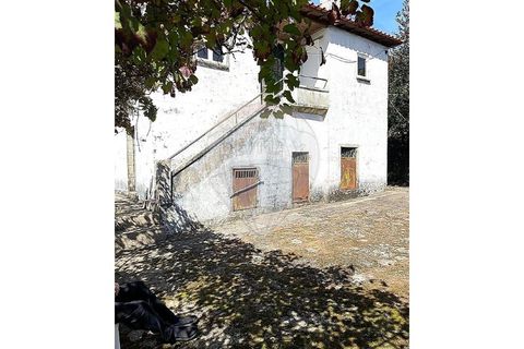 Villa a Ponte de Lima, Viana do Castelo, Ponte de Lima - € 265.000 | Ref: 123731008-449 - foto 20