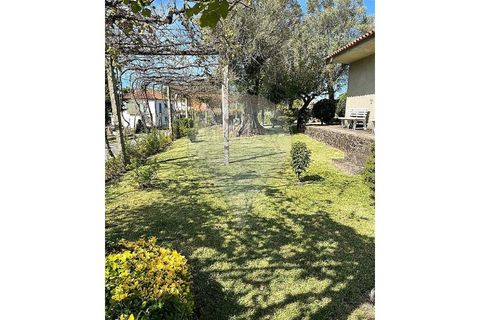 Villa a Ponte de Lima, Viana do Castelo, Ponte de Lima - € 265.000 | Ref: 123731008-449 - foto 24