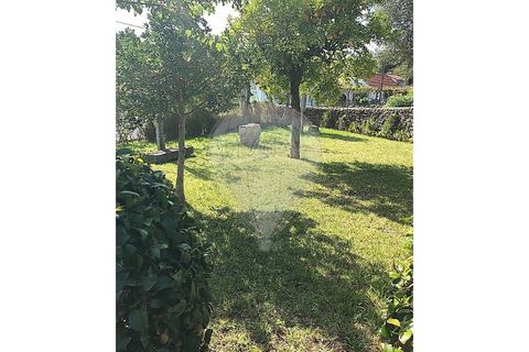 Villa a Ponte de Lima, Viana do Castelo, Ponte de Lima - € 265.000 | Ref: 123731008-449 - foto 26